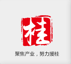 聚焦产业，努力援桂