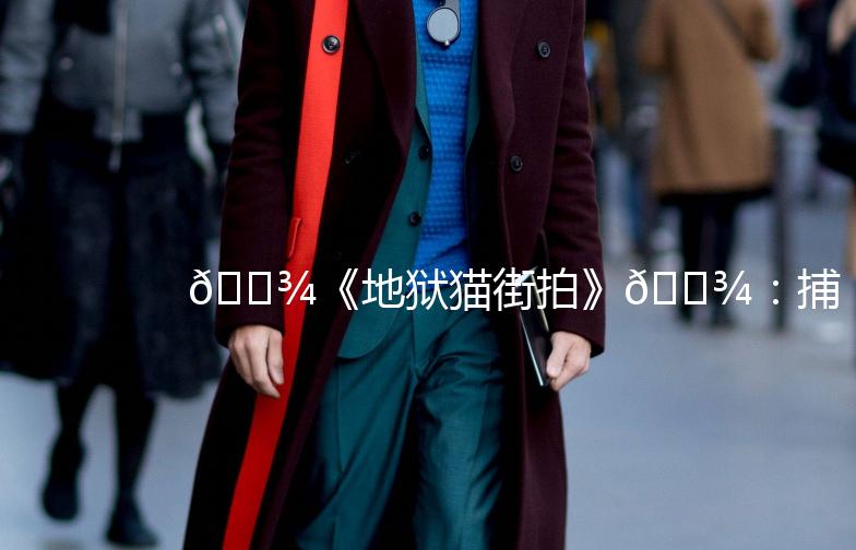 🐾《地狱猫街拍》🐾：捕捉街头时尚的灵魂，一起感受猫步轻快的魅力！