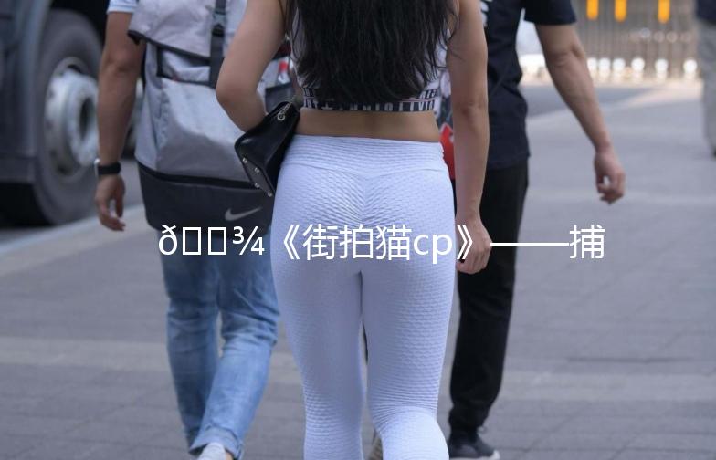 🐾《街拍猫cp》——捕捉那些萌化人心的瞬间🐾