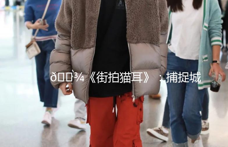 🐾《街拍猫耳》：捕捉城市中的喵星人风采🎥